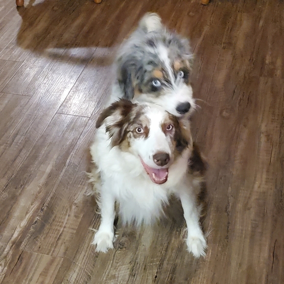 Some of my babies♡ - Picture 16 of 16